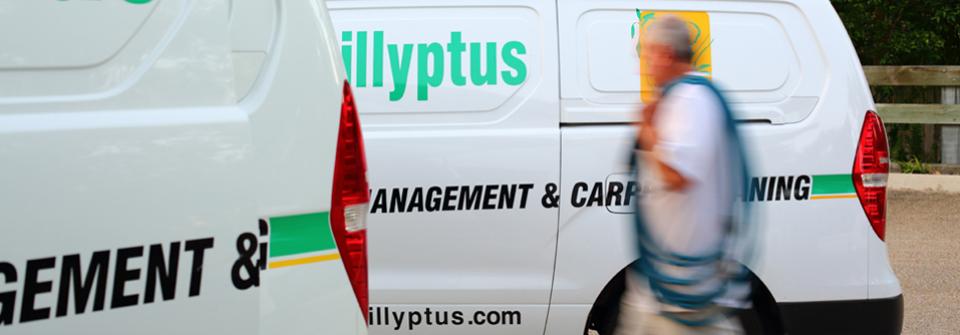 Killyptus Pest Control & Carpet Cleaning - Water & Flood damage